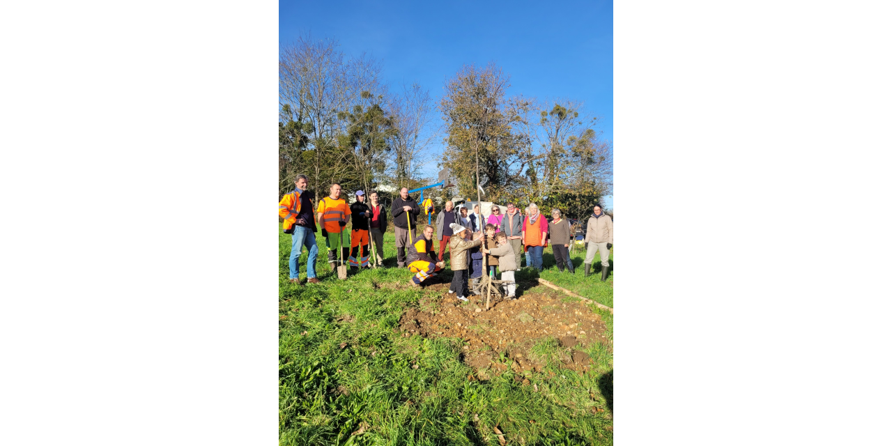 Image d'illustration pour : Des fruits pour tous