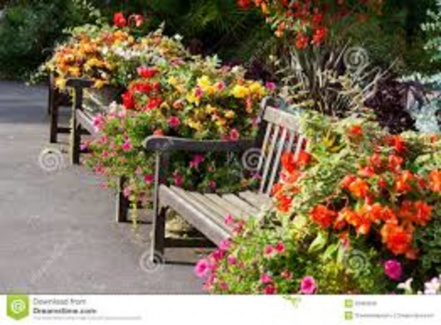 Image d'illustration pour : Bancs et Fleurs 