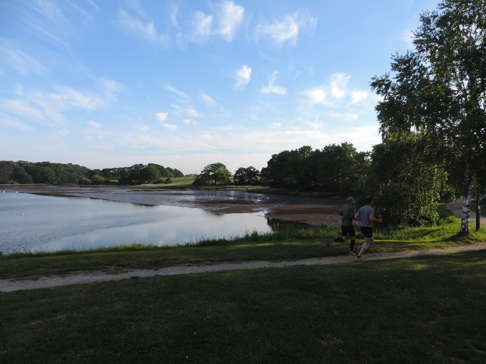 Image d'illustration pour : Eclairage du tour de l'étang du Plessis (entre le pont du Bouc et le moulin du Plessis)