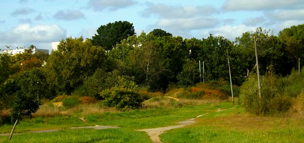 Image d'illustration pour : Terrain à bosses du Rohu