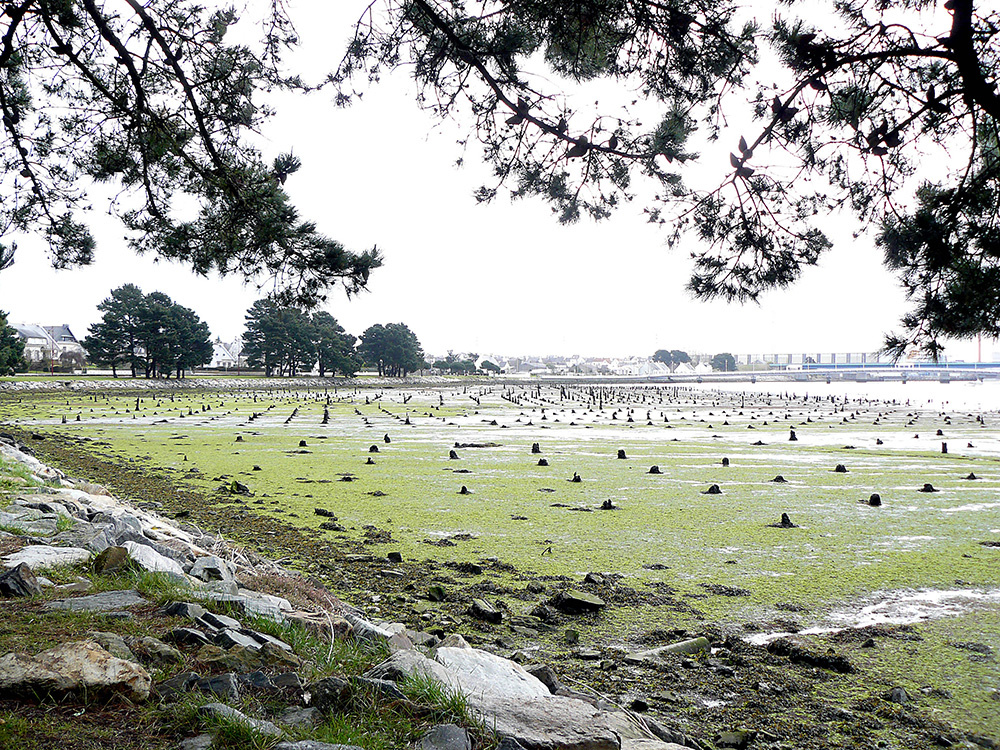 Valoriser le parc à bois - BP 2022.jpg