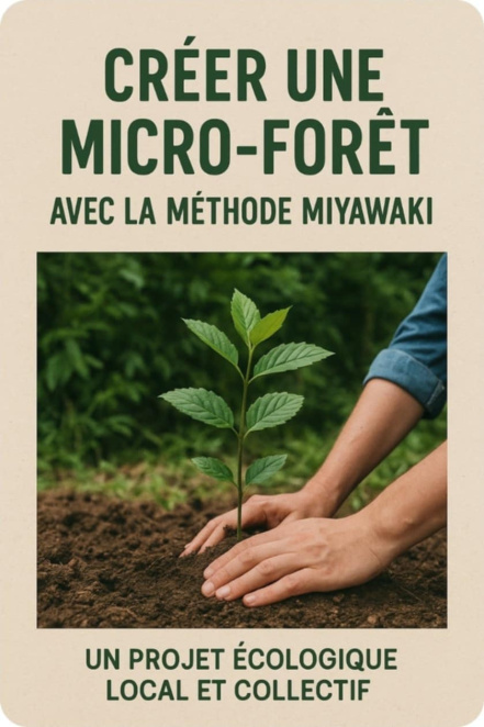 Image d'illustration pour : Création d’une micro forêt selon la méthode Miyawaki pour favoriser la biodiversité urbaine et de la lutte contre le réchauffement climatique s'intégrant dans le projet de la ville "l'arbre dans la ville" en milieu urbain.