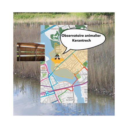 Image d'illustration pour : Observatoire animalier de Kerantrech