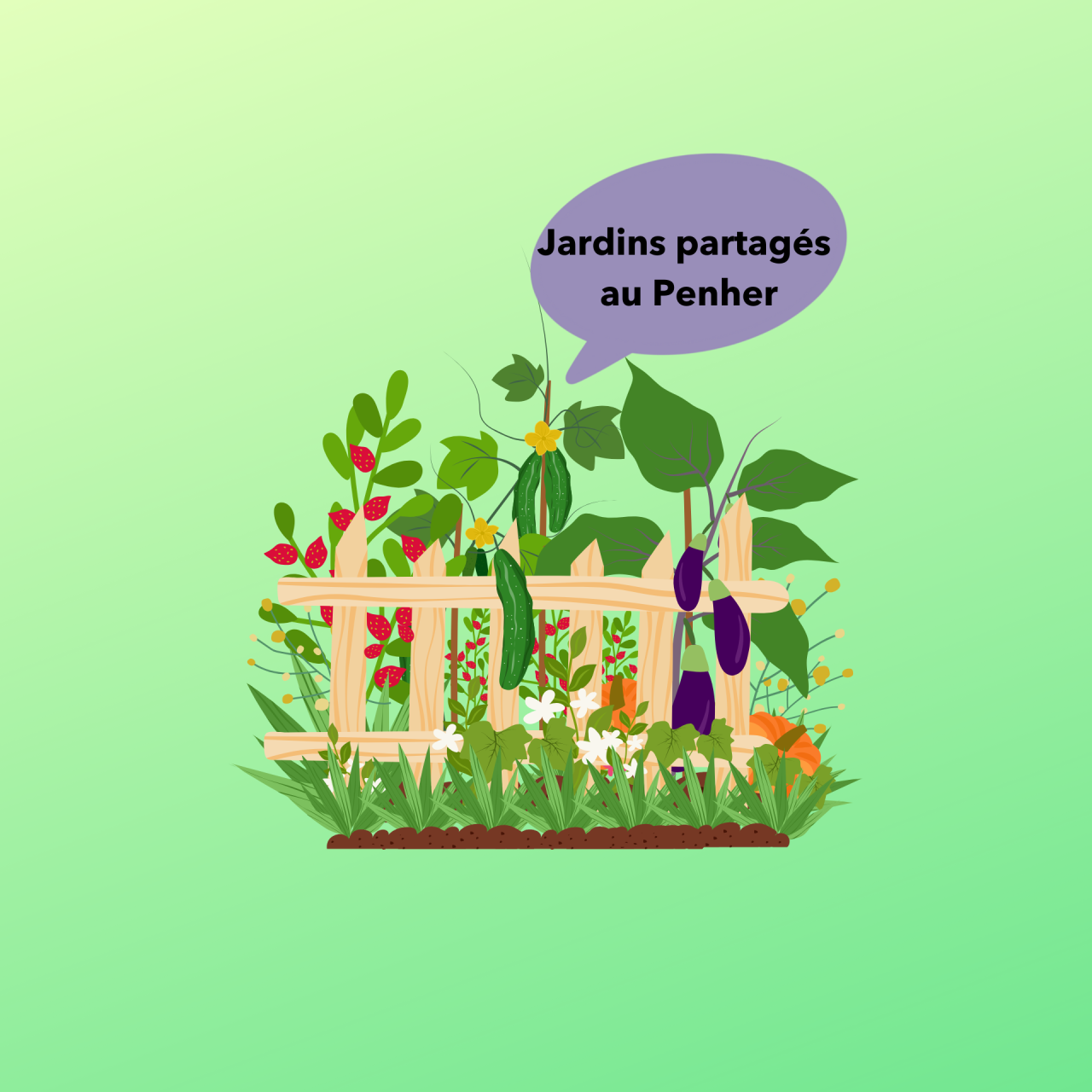 Image d'illustration pour : Jardins partagés au Penher