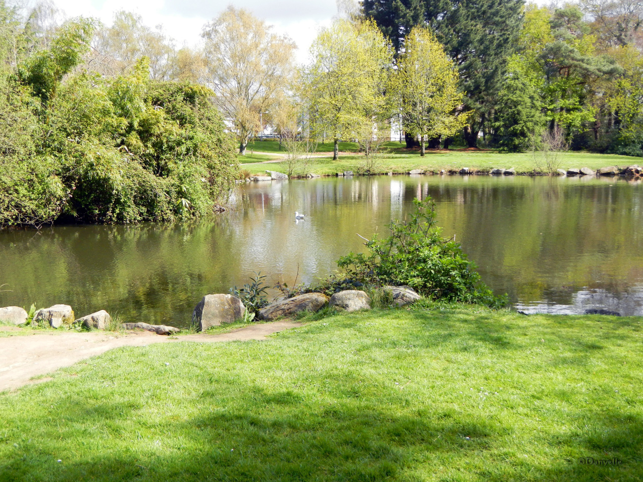 Image d'illustration pour : Restaurer l'étang du parc du Plessis