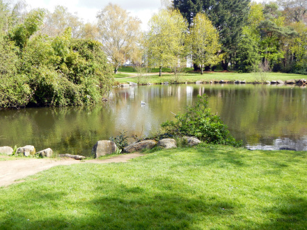 Image d'illustration pour : Restaurer l'étang du parc du Plessis