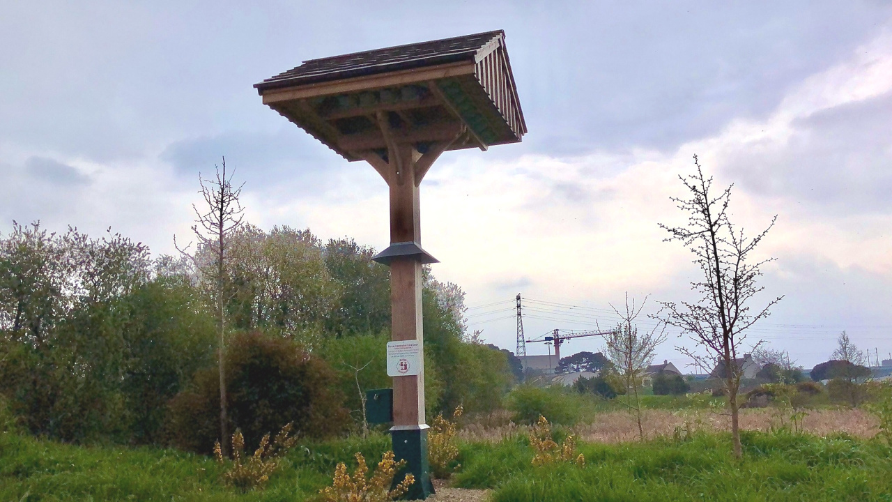 Image d'illustration pour : Terre vivante chez l'âne Ester